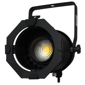 Black Aluminum Par 30 Light Fixture with Adjustable LED Bulb