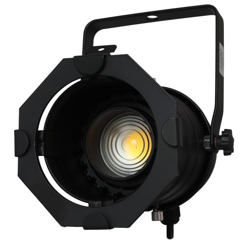 Black Aluminum Par 30 Light Fixture with Adjustable LED Bulb
